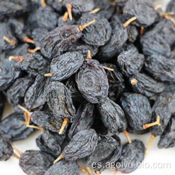 Mejor grado 100% Natural Xinjiang Black Raisin